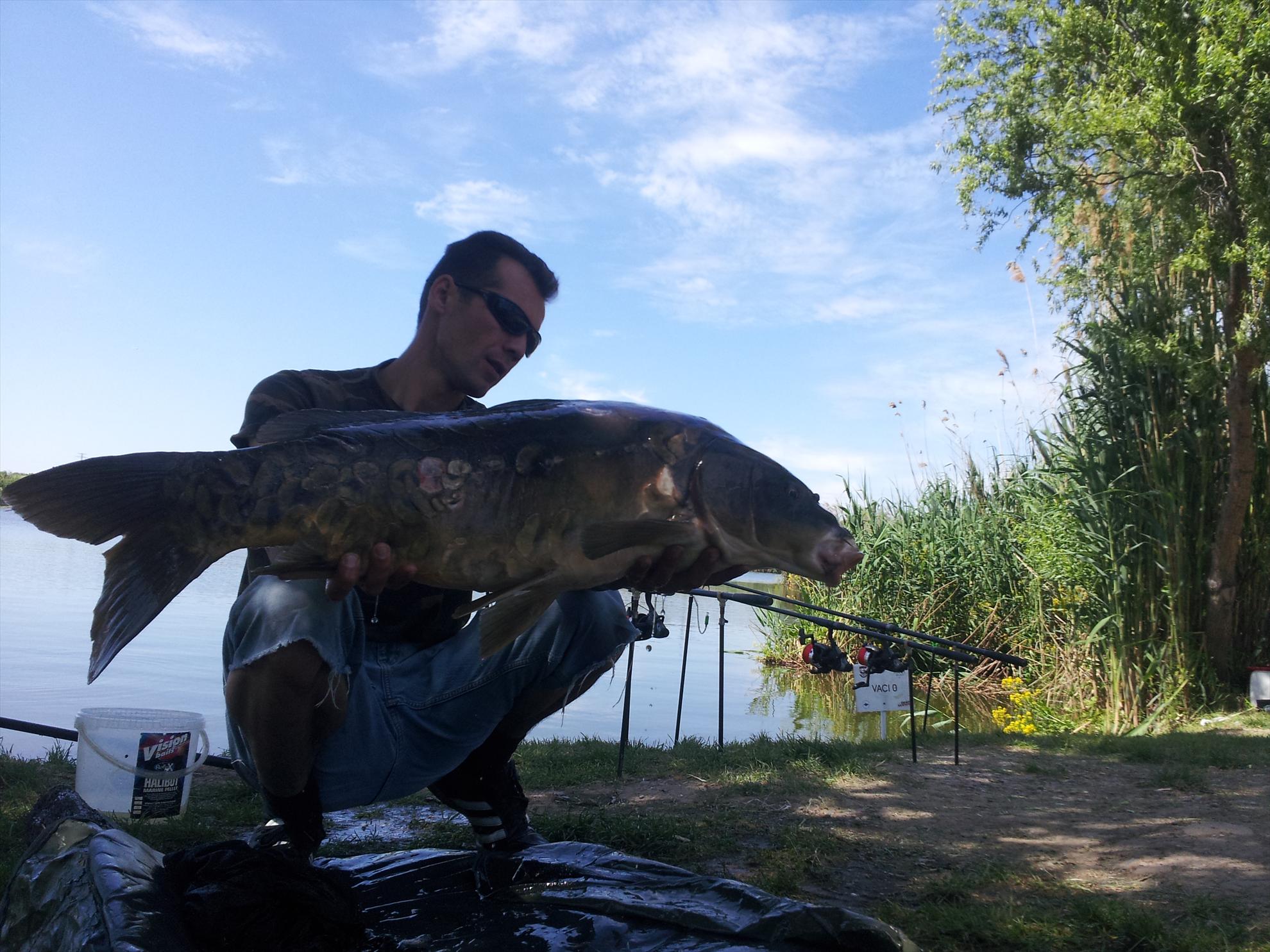 tancabesti 11-12'05''2013 - 20130512141102.jpg